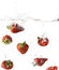 Red Strawberries falling into Water
