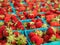 Red Strawberries fruit basket