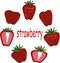 Red strawberry, green leaves, slices on white background, hand drawing