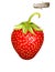 Red strawbery. Realistic 3d isolated vector