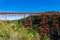 Red structure of Makatote Viaduct, Bridge number 179, against New Zealand bush