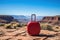 A red suitcase sitting on top of a rock. Grand Canyon on background