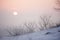 The red sun sets in a gray-pink haze. winter pastel landscape