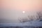 The red sun sets in a gray-pink haze. winter pastel landscape