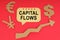 On the red surface there are money symbols, an arrow and a sign with the inscription - Capital Flows