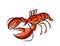 Red swamp crayfish cartoon animal design vector illustration isolated on white background