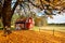 Red Swedish house amongst autumn leaves