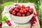 Red sweet cherries in the white bowl in garden