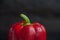 Red sweet pepper on a dark background. Fresh whole red bell pepper with droplets of water.