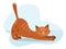 Red tabby cat stretches after sleep. Simple illustration in cartoon style.