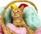 Red Tabby Domestic Cat, Kitten playing in Basket full of Wool Balls