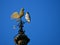 Red tail hawk perches on a weather vane