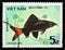 Red-tailed Black Shark (Labeo bicolor), Fish - Ornamental serie, circa 1984