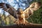 a red tailed hawk ready to takeoff generate by AI