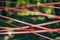Red tangled ropes in green forest foliage, abstract art object about environmental protection