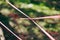 Red tangled ropes in green forest foliage, abstract art object about environmental protection