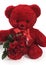 RED TEDDY BEAR AND ROSES FOR SAINT VALENTINE`S DAY