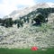 Red tent, pine trees and rocks. Valley near Tahtali Dagi, Turkey. Aged photo.
