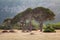 The Red Tent under the large trees on the background of mountain scenery on the Lycian Way.