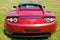 Red Tesla Roadster Sports Car Rear in Green Field