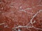 Red texture of marble