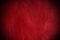 Red textured leather grunge background closeup