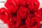 Red textured roses close-up and copy space. Womens day, mother`s day, red roses on a white wooden background