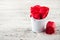 Red textured roses and a miniature watering can, a bucket close-up and copy space. Spring gardening concept on white wooden backgr