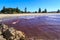A `red tide` washing onto a beach