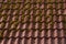 red tile roof background. overgrown roof texture