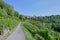 Red Tiled Medieval Roof Tops and Sloping Vineyards of Rothenburg in the Tauber Valley