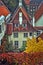 Red tiled roofs and autumn foliage