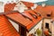 Red tiled roofs in Prague, Czech Republic