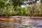 Red tinted water flowing down the Amazon River alongside forest & jungle at Presidente Figueiredo in Brazil, South America