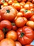 Red tomato background