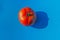 A red tomato is on a blue background. There are harsh shadows.