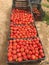 Red tomato boxes after harvest beautiful background