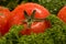 A red tomato on the fresh verdure