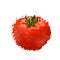 Red tomato illustration of blots