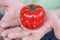 Red tomato kitchen timer set to 0, held by both hands, with open palms