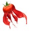 Red tomato with paint splash