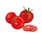 Red tomato, raw vegetables. Whole and sliced. Vector illustration.