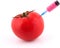 Red Tomato With Syringe Injecting Color