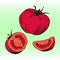 Red tomato, whole vegetable, half and slice. Hand drawn illustration. Vector in sketch style.
