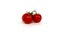 Red tomatoe isolate. Tomatoes on branch, side view. Element of healthy food. Isolate on white