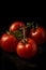 Red tomatoes arranged on a dark background. The tomatoes are evenly arranged.