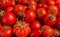Red tomatoes, background image various varieties