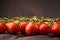 red tomatoes on a branch. drops of water.close-up