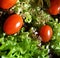 Red tomatoes cherry on green crispy lettuce healthy food