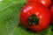 Red Tomatoes on Green Cabbage